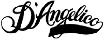 Partez à la rencontre de D'Angelico Guitars