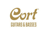 vends guitare electro acoustique Cort