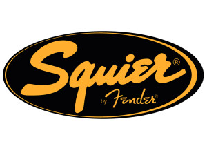 Squier 20th Anniversary Stratocaster