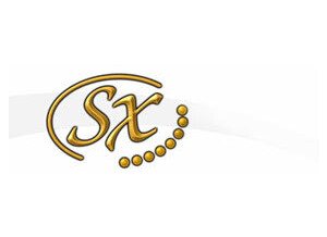 Sx Guitars
