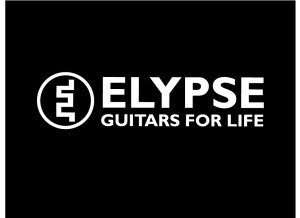 Elypse Guitars J200