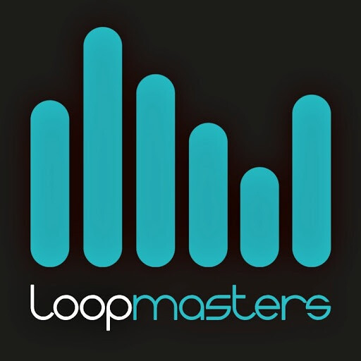 Loopmasters Drum Drops In Dub Vol 2 Pack 5