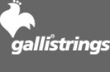 [Musikmesse] Galli Strings Genius