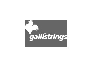 Galli Strings Genius GR 60 Hard tension