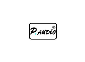 P.Audio HP-10W