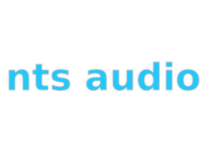 NTS Audio UDLG-1