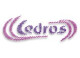 Cedros GmbH