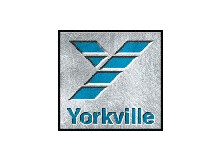 Yorkville Y100B
