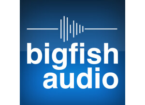 Big Fish Audio Momentum: Pop Rock Hits