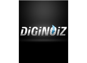 Diginoiz