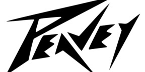 Enceintes peavey impact 200