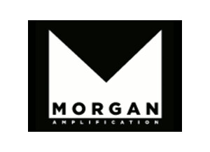 Morgan Amplification Shadow Verb