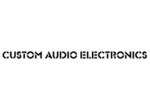 Custom Audio Electronics 1x12 Cabinet
