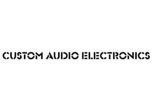 Custom Audio Electronics 1x12 Cabinet