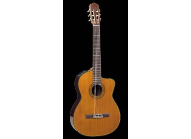 Takamine TC132SC