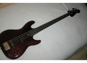 Michigan Electric Bass