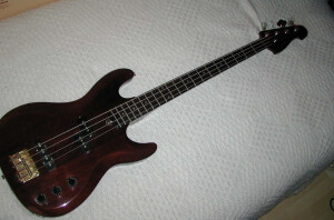 Michigan Electric Bass