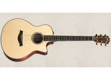 Taylor Baritone-6