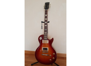 Tokai LS-1000
