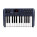 See the photo of the M-Audio Oxygen 25 M-Audio Oxygen 25