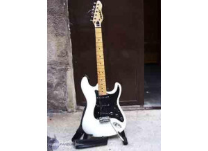 Peavey Predator USA