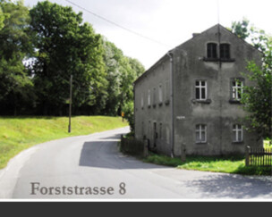 Detunized DTS012 — Forststrasse 8 
