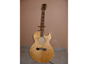 Gibson EC-20 Starburst