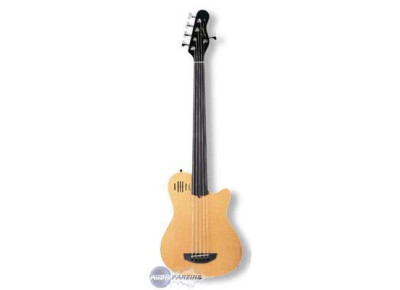 Godin A5