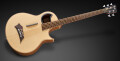 5 cordes pour la basse Alien de Warwick