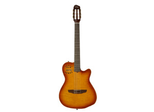 Godin ACS-SA USB