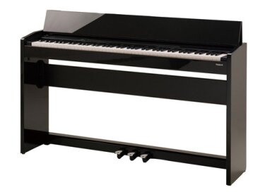 Roland F-110
