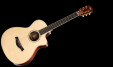 Taylor 12-Fret