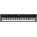 Casio Privia PX-3