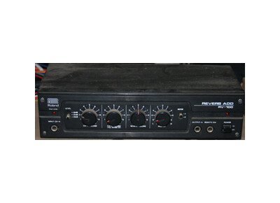 Roland RV 100