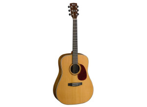 Cort Earth100OV