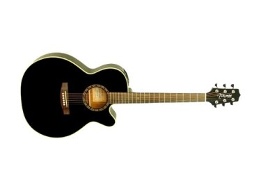 Takamine EG481SCX