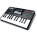 Akai Professional SynthStation25
