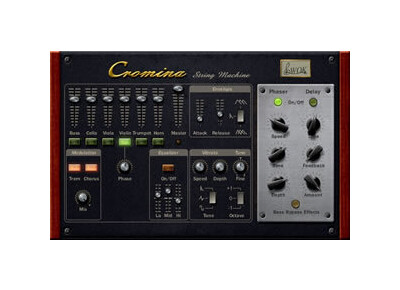WOK Cromina String Machine