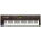 See the photo of the Roland JV-30 Roland JV-30