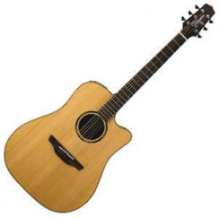 Takamine ETN10C