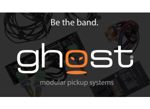 Graph Tech Ghost (Modular Pickup System)