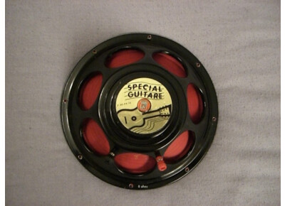 Audax F30 PA12 "Spécial  Guitare"