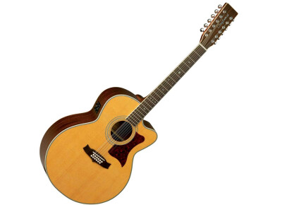 Tanglewood TW55/12 NS B