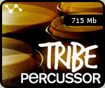 Cluster Sound Tribe Percussor