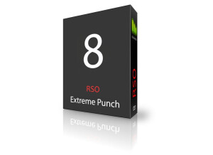 Recording School Online Extreme Punch 8