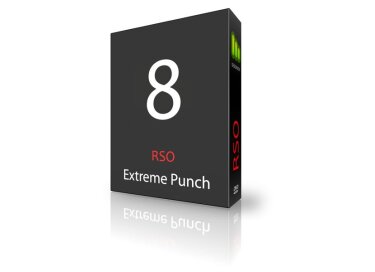Recording School Online Extreme Punch 8