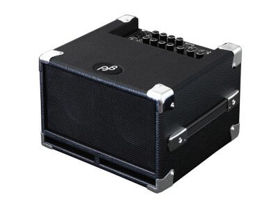 Phil Jones Bass Cub BG-100