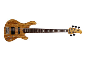 Cort GB95