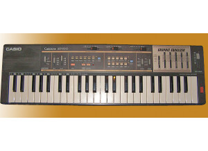 Casio MT-100
