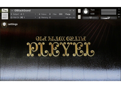 AcousticSamples OldBlackGrand